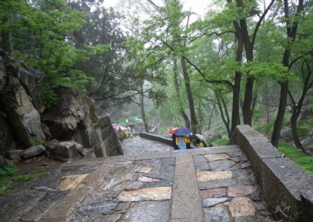 雨中的泰山一角图片