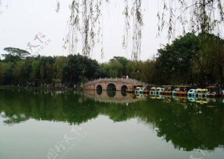 逸仙湖公园图片