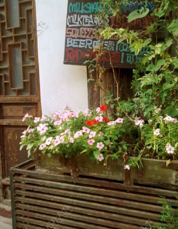 小花盛开的茶馆门外图片