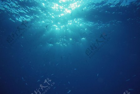 海洋海底光线图片