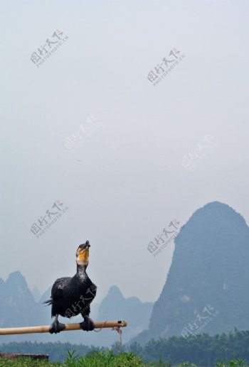 桂林景观图片