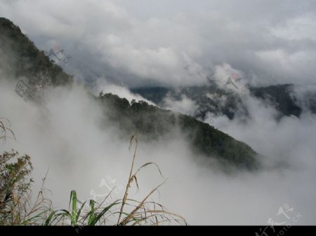 阿里山的雾图片