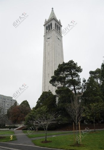 加州伯克利大学塔楼图片