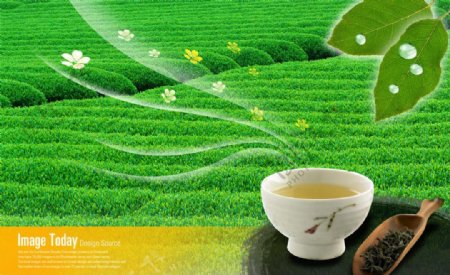 绿茶类广告图片