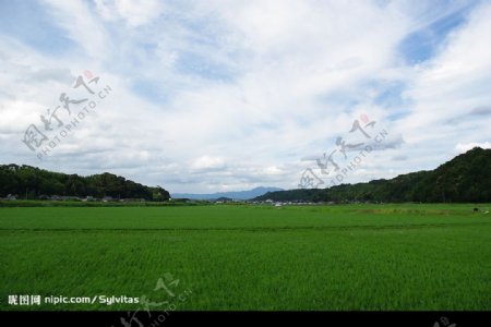 日本田园风光图片