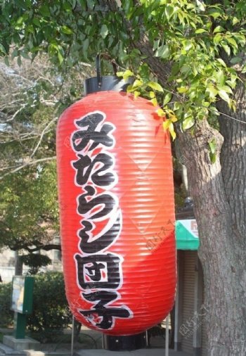 日本红灯笼图片