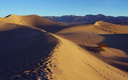 美国加州死亡谷国家公园沙丘图片