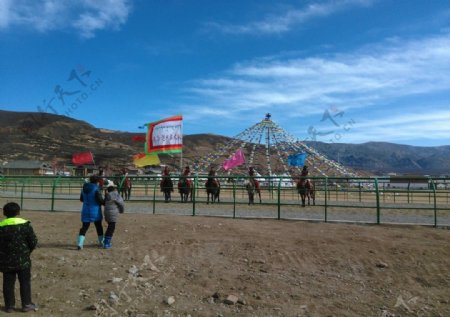 藏族赛马场图片