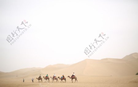 敦煌鸣沙山骆驼队图片