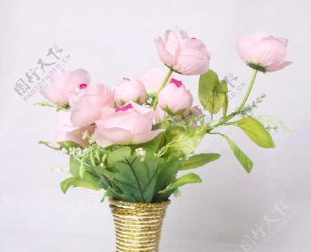 粉玫瑰花瓣图片