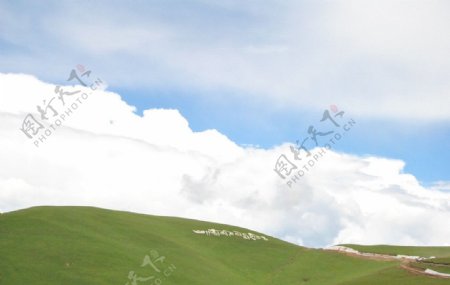 川藏线上的塔公草原图片