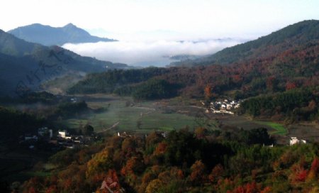 山雾之村图片