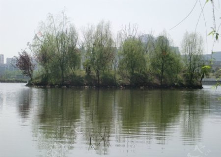 华中科技大学眼镜湖图片