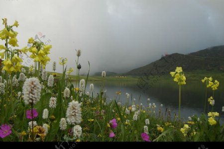 高原湖泊图片