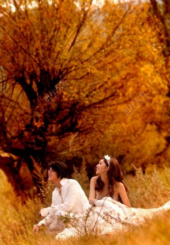 树林里的婚纱摄影图片