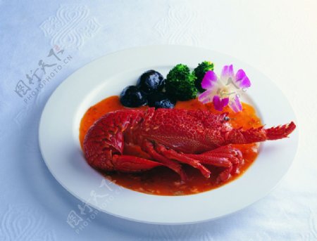 澳洲龙虾大餐高清摄影图片