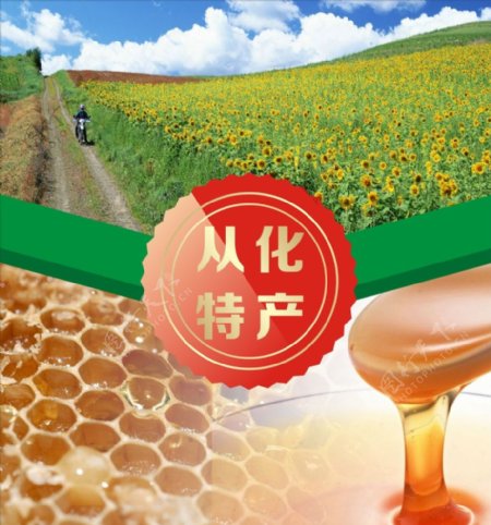 蜂蜜特产图片