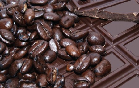 可可豆和巧克力图片