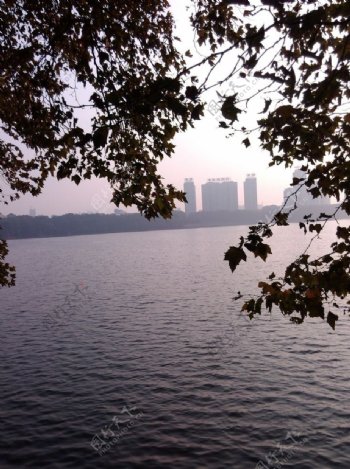 甘棠湖图片