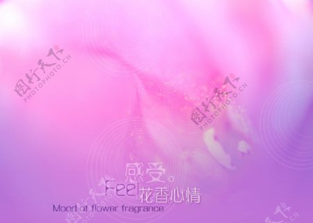 紫色梦幻婚纱模板图片