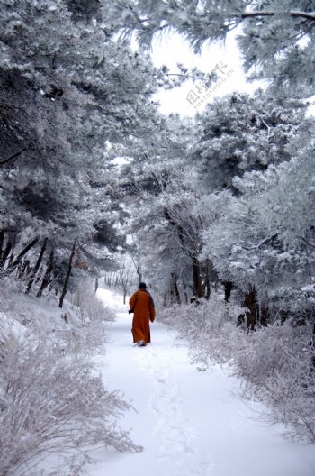 渑池韶山雪景图片