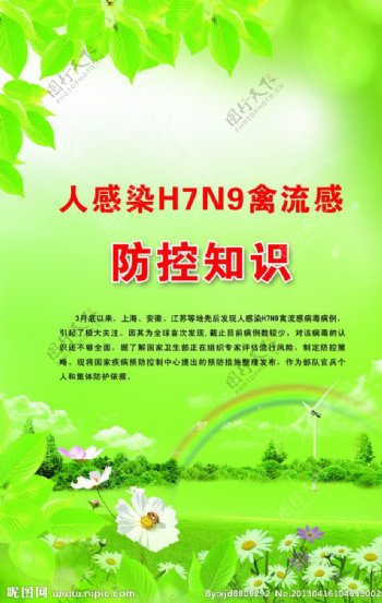 H7N9禽流感防控海报图片