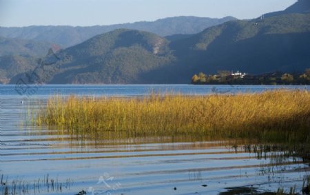 泸沽湖草海的风景图片
