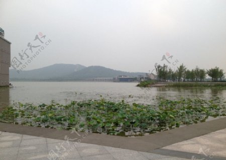 江阴唔山湖一角图片