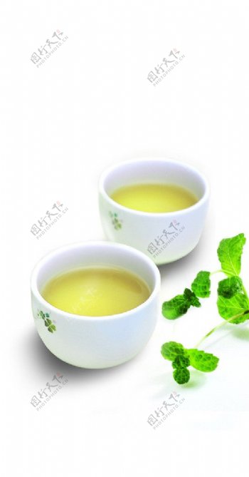 茶杯绿叶铁观音图片