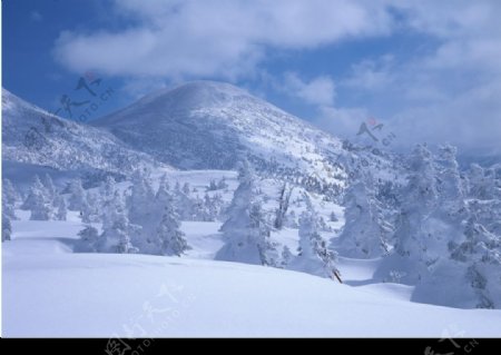 大雪覆盖的山峰图片