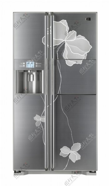 LG直立式门电冰箱图片