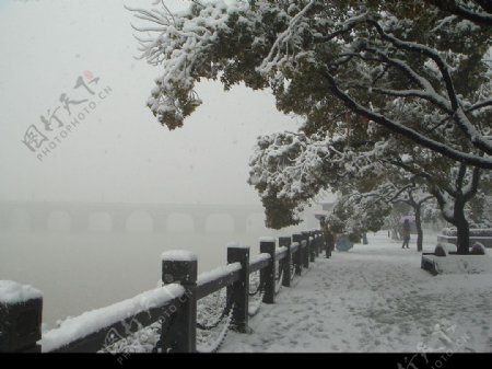 婺江边的雪景图片