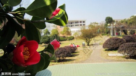 湘潭大学侧园风光图片