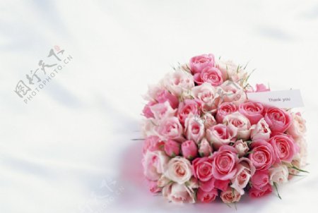 心形粉红玫瑰图片