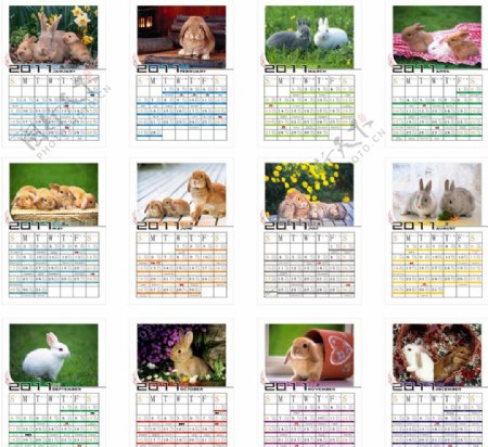 2011兔年月历图片