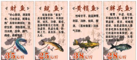 财鱼鲩鱼黄锁鱼胖头鱼介绍展板图片