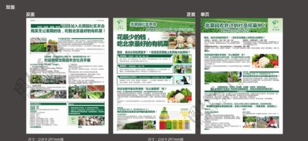 有机蔬菜种植场宣传单图片