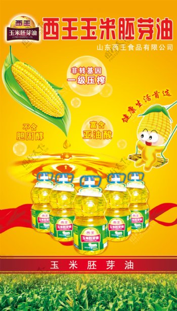 西王玉米胚芽油图片