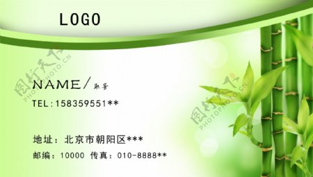 绿色竹子名片图片