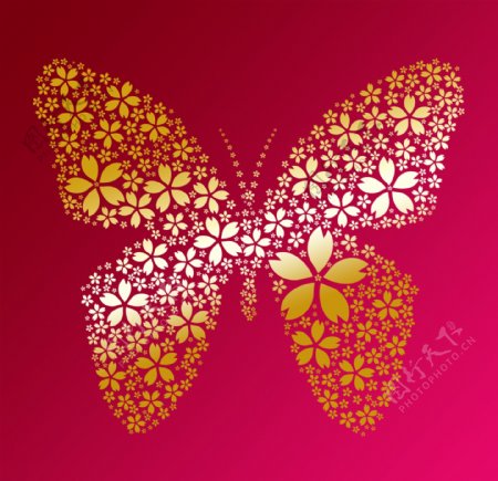 金色蝴蝶图片