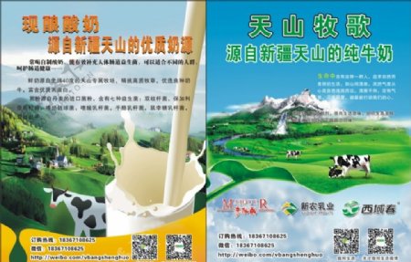 新疆牛奶宣传彩页图片
