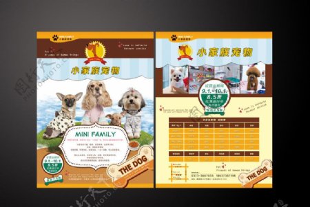 小家族宠物宣传页图片