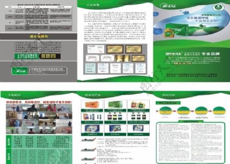 原生钛DM宣传单图片