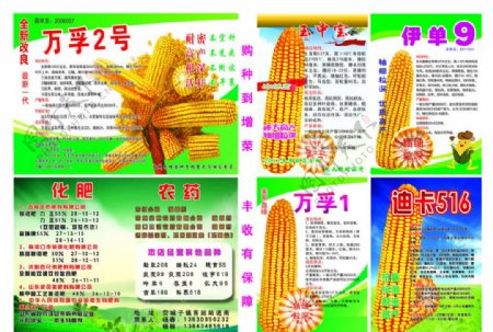 玉米种子化肥宣传单图片