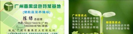广州番禺绿色芽菜基地图片