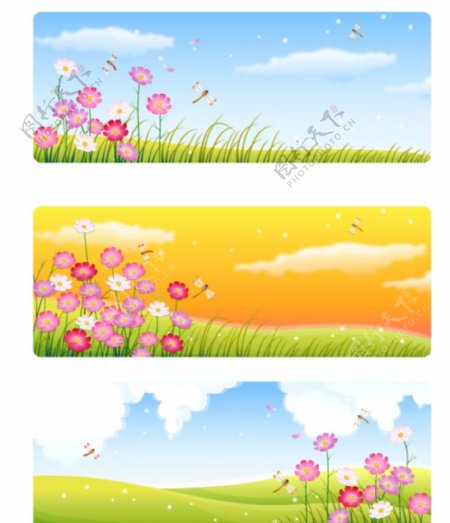 花朵风景背景图片