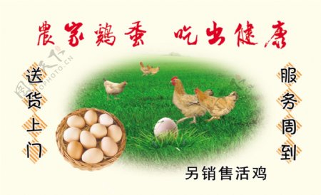 农家鸡蛋名片图片