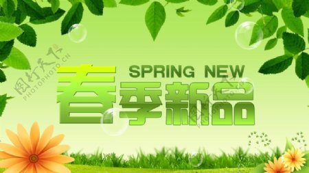 春季新品图片
