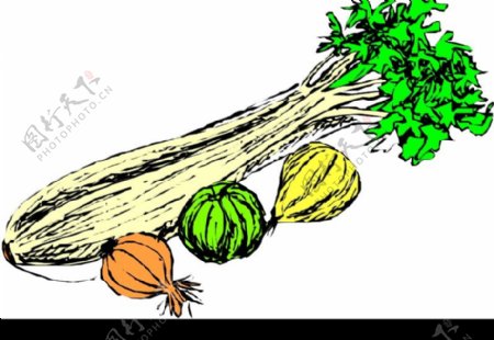 蔬菜水果1512