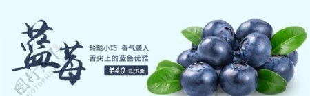蓝莓广告首页